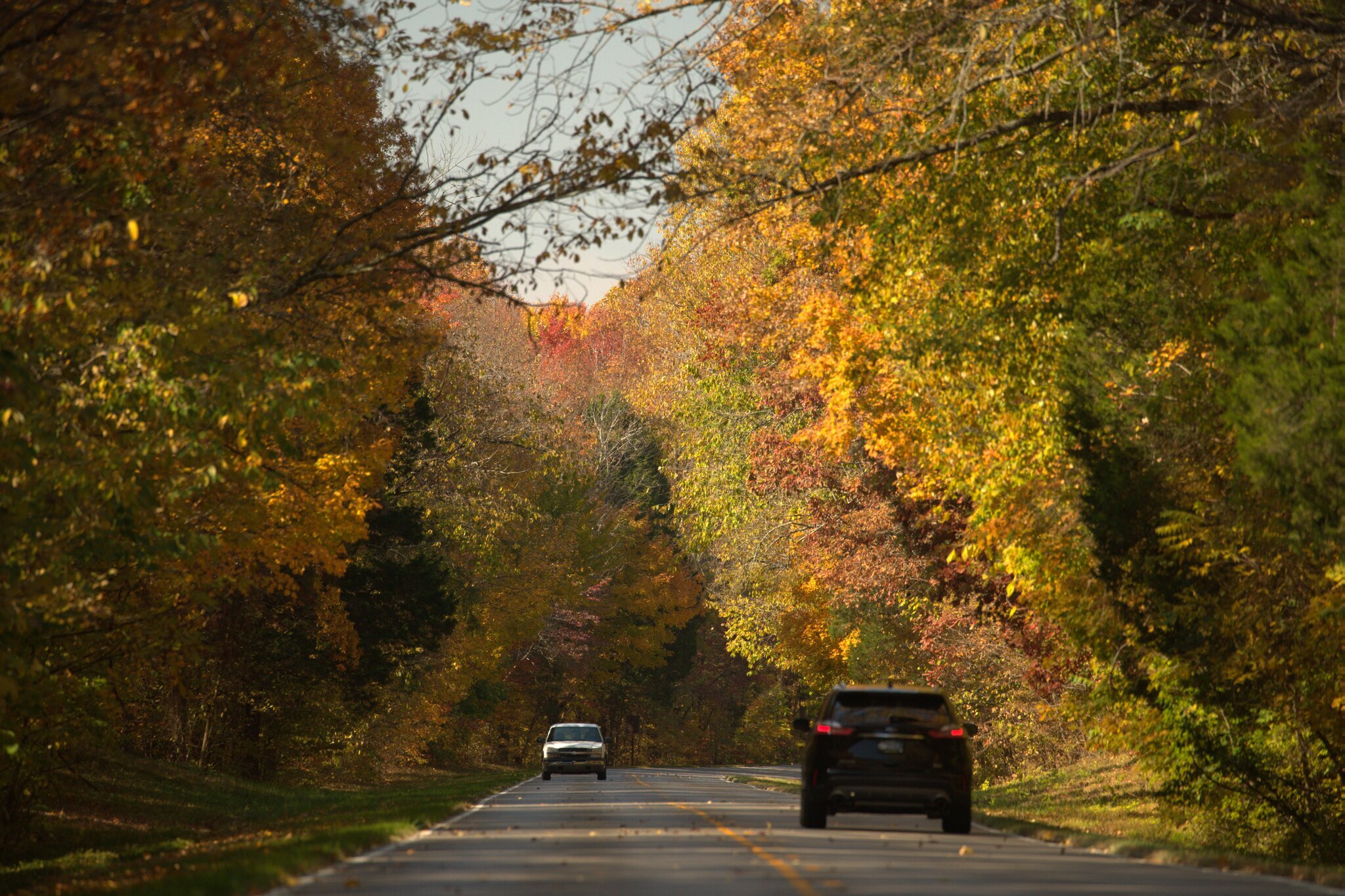 A two-lane road with cars passing each other in opposite directions surrounded by fall foliage near Mammoth Cave.
