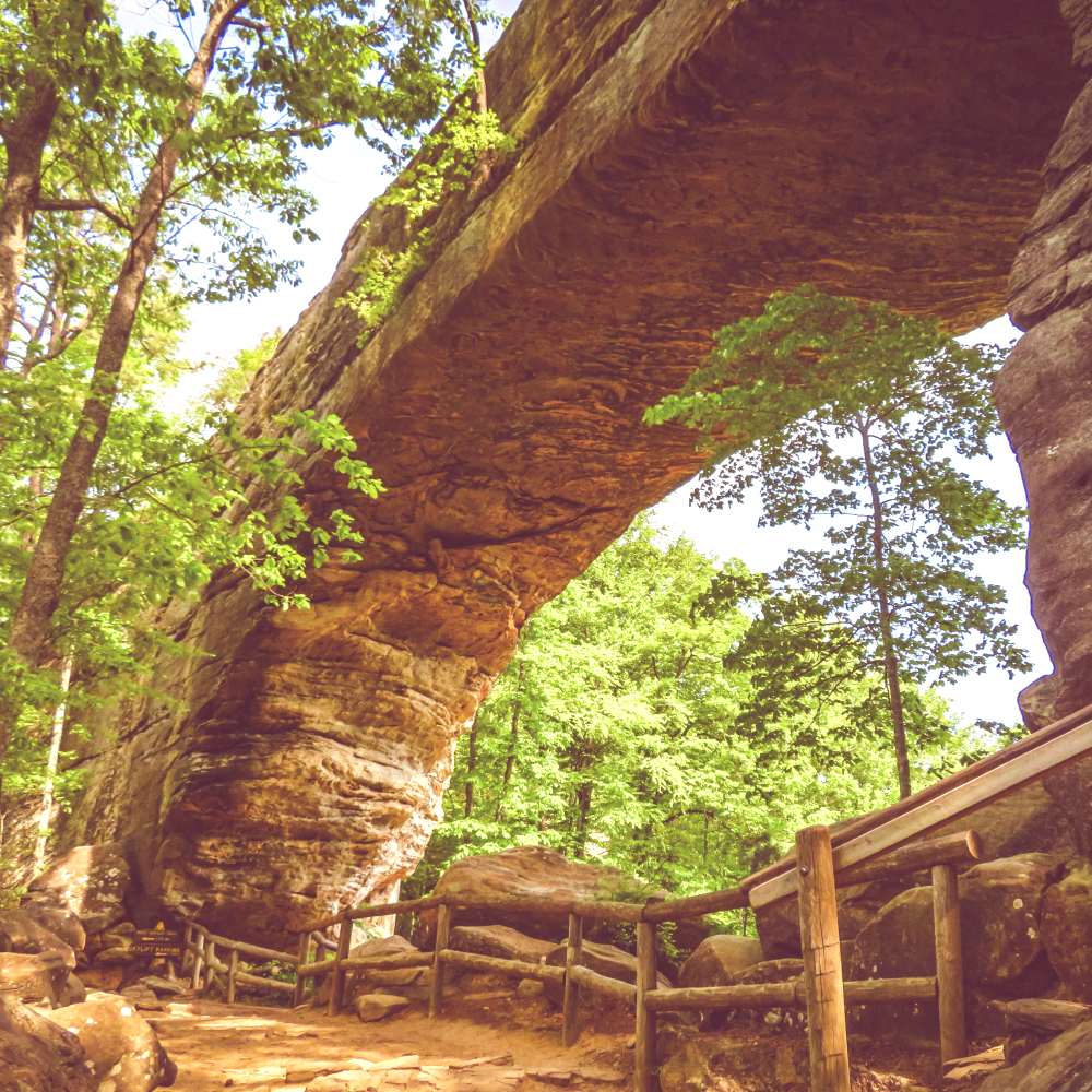 Natural Bridge Standing underneath the Natural Bridge on a sunny spring day. Lush green foliage in the background juxtaposes the brown limestone and the massive size of the rock formation.