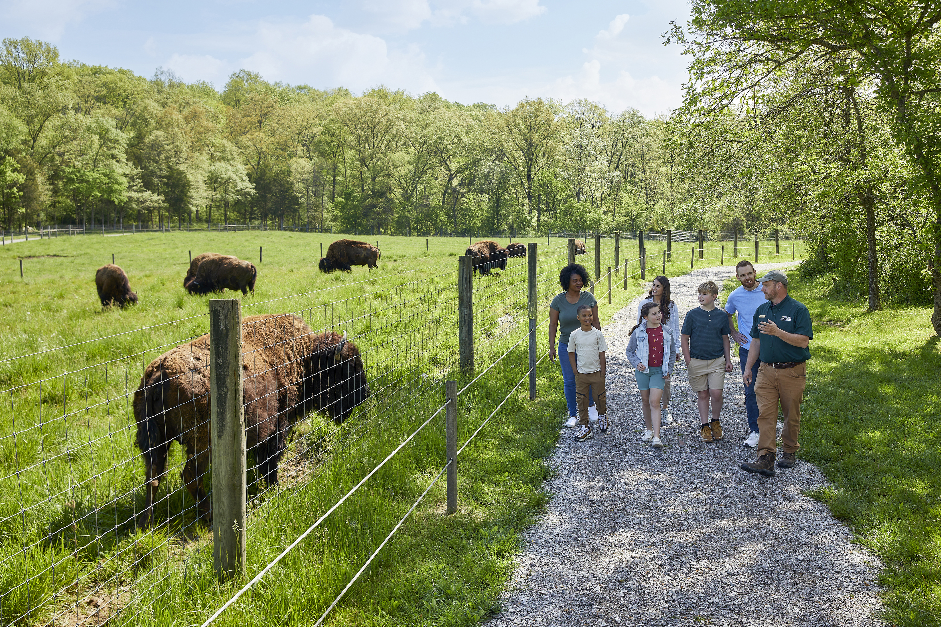 Family walking around Big Bone Lick State Historic Site with a park staffer