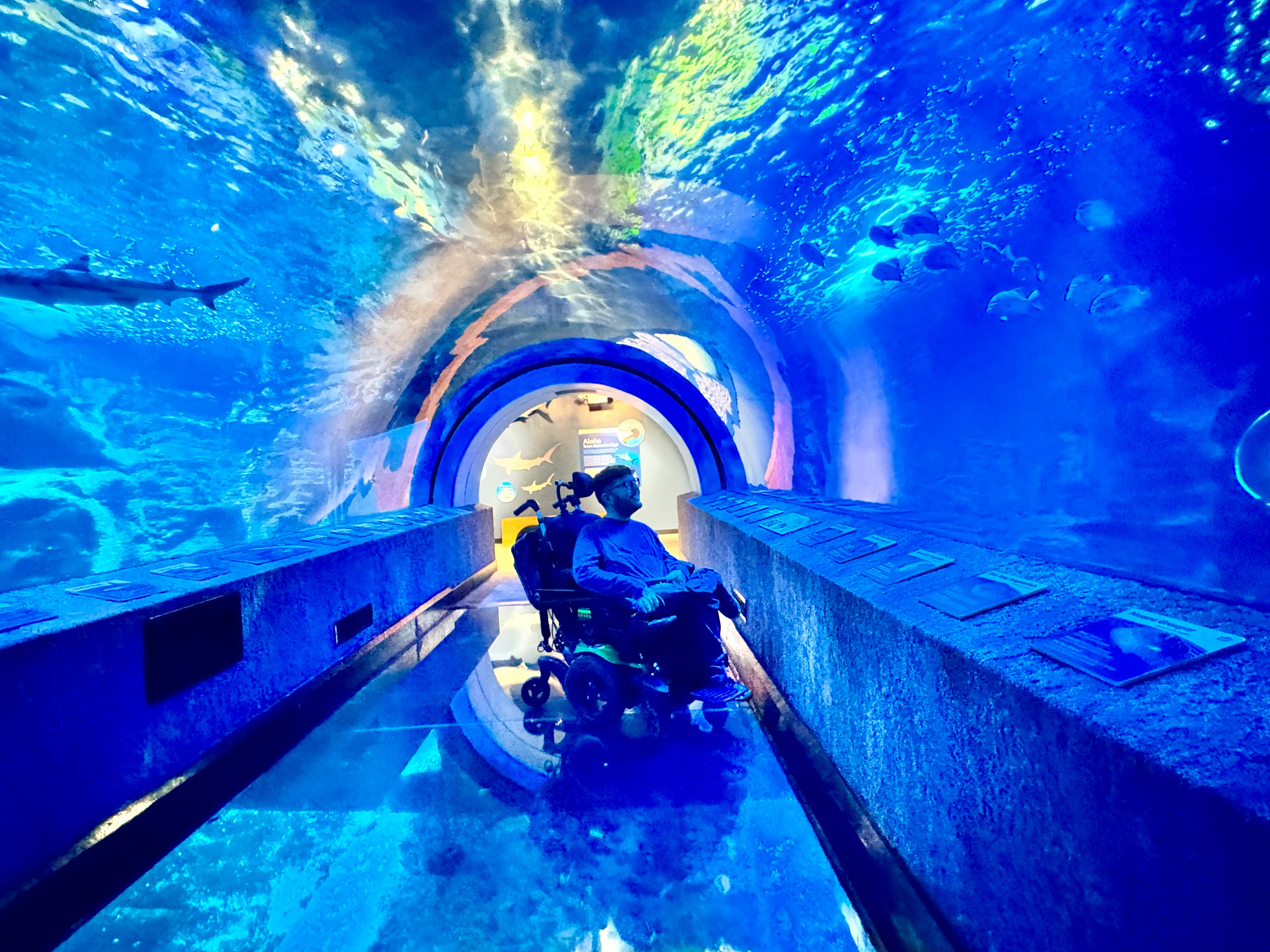 Cory Lee looking at the fish at the Newport Aquarium