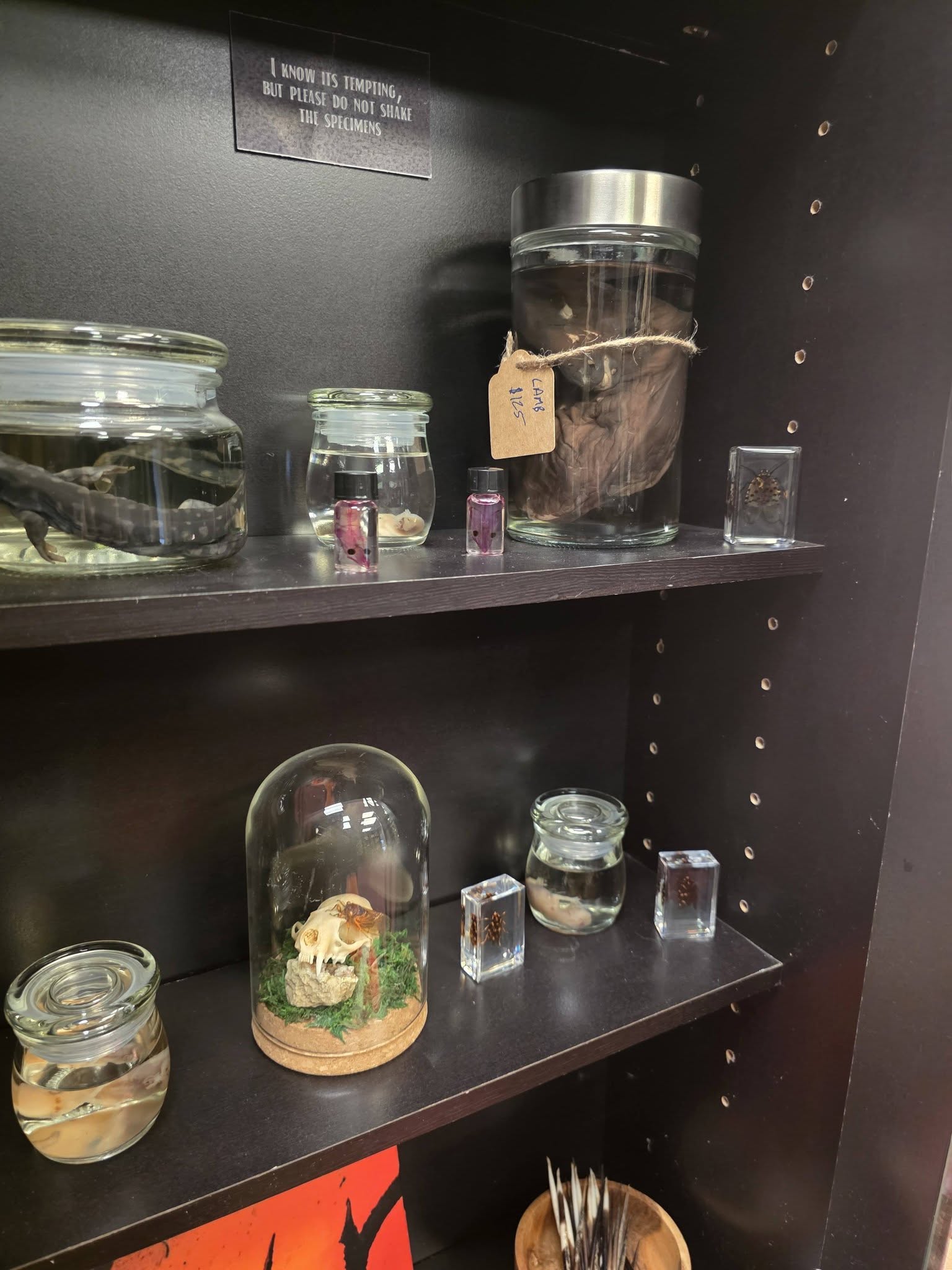 Discover Kentucky's Artisanal Creations - Handcrafted Treasures