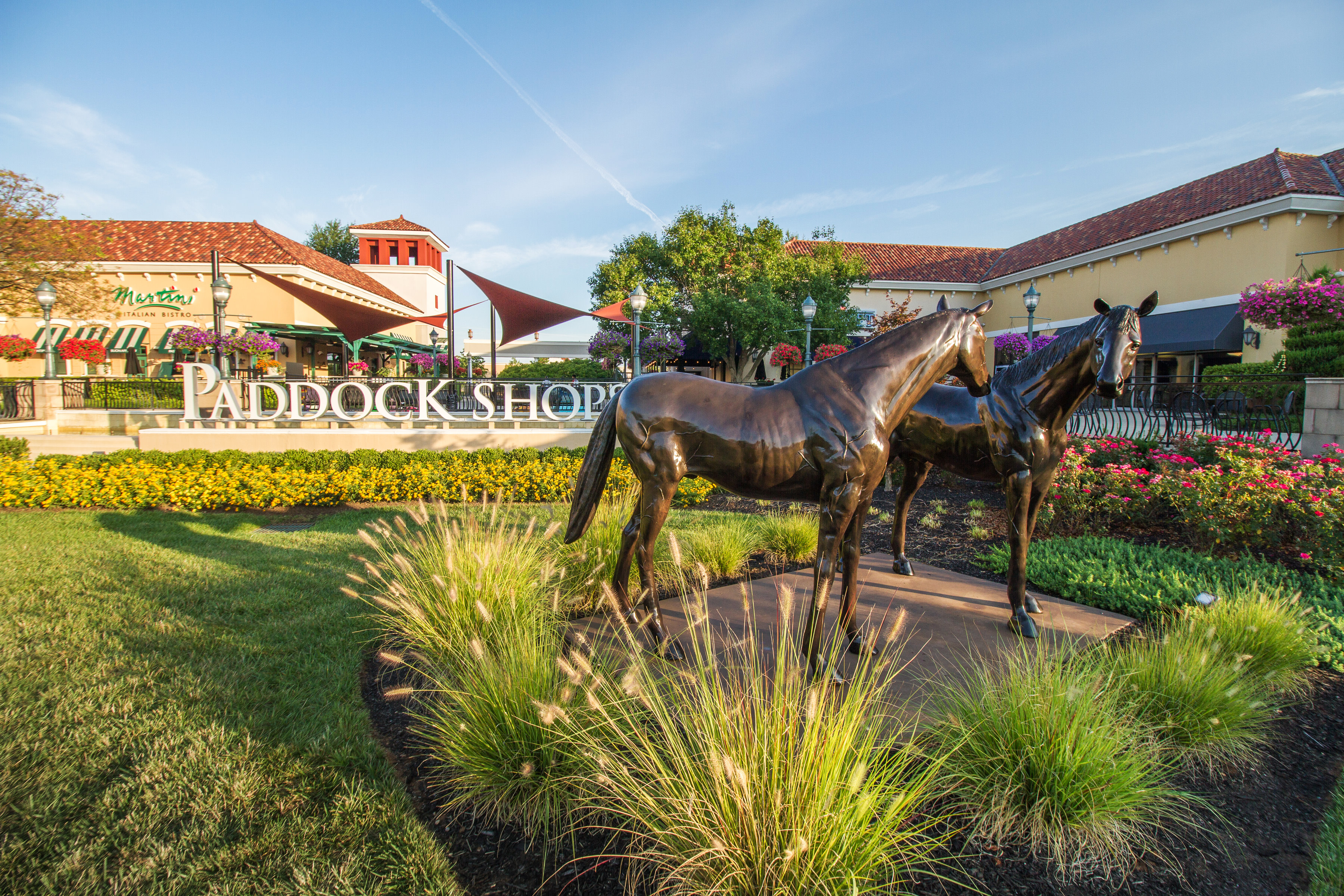 Explore | Paddock Shops