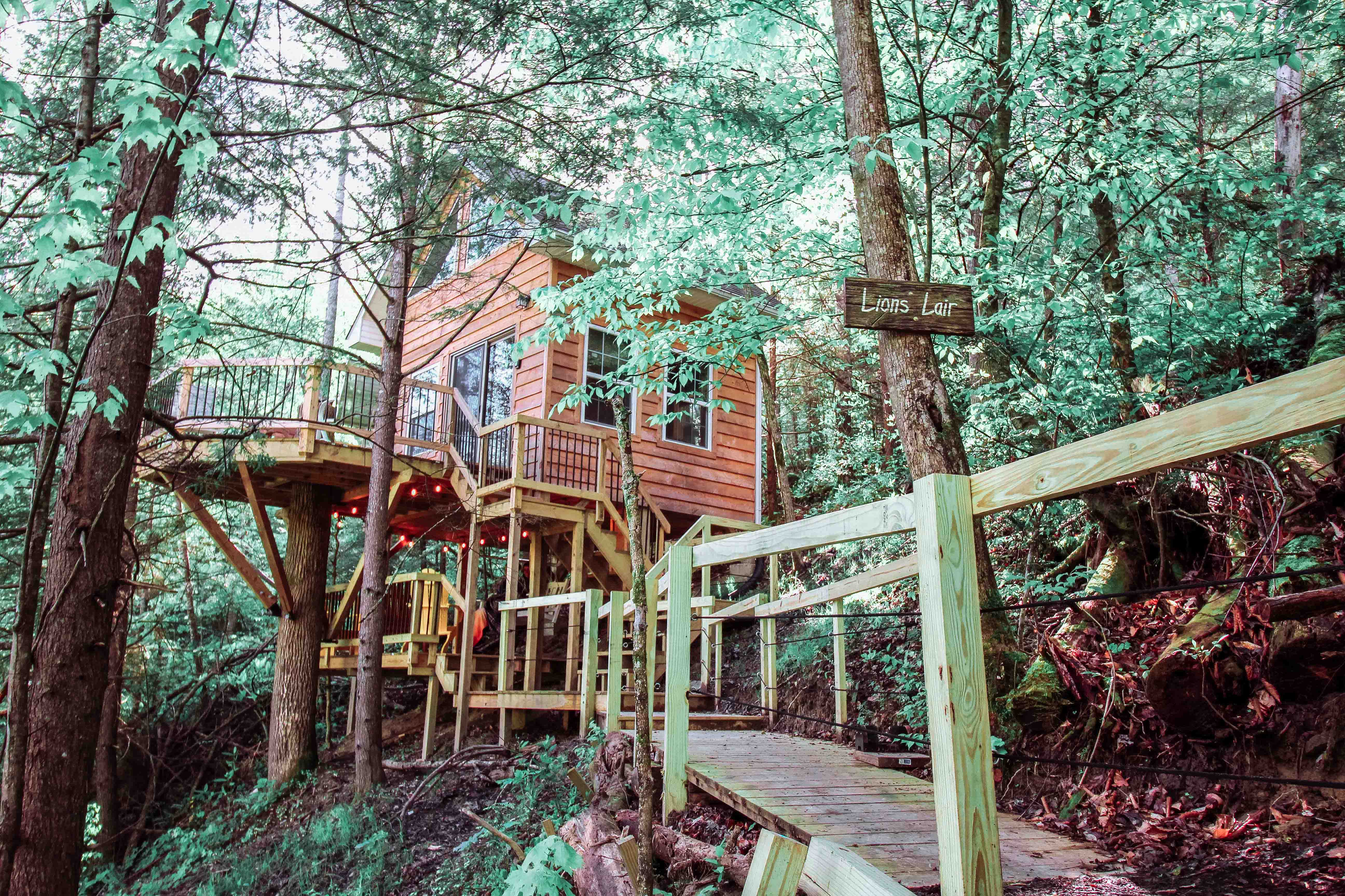Explore | Lions Lair Treehouse