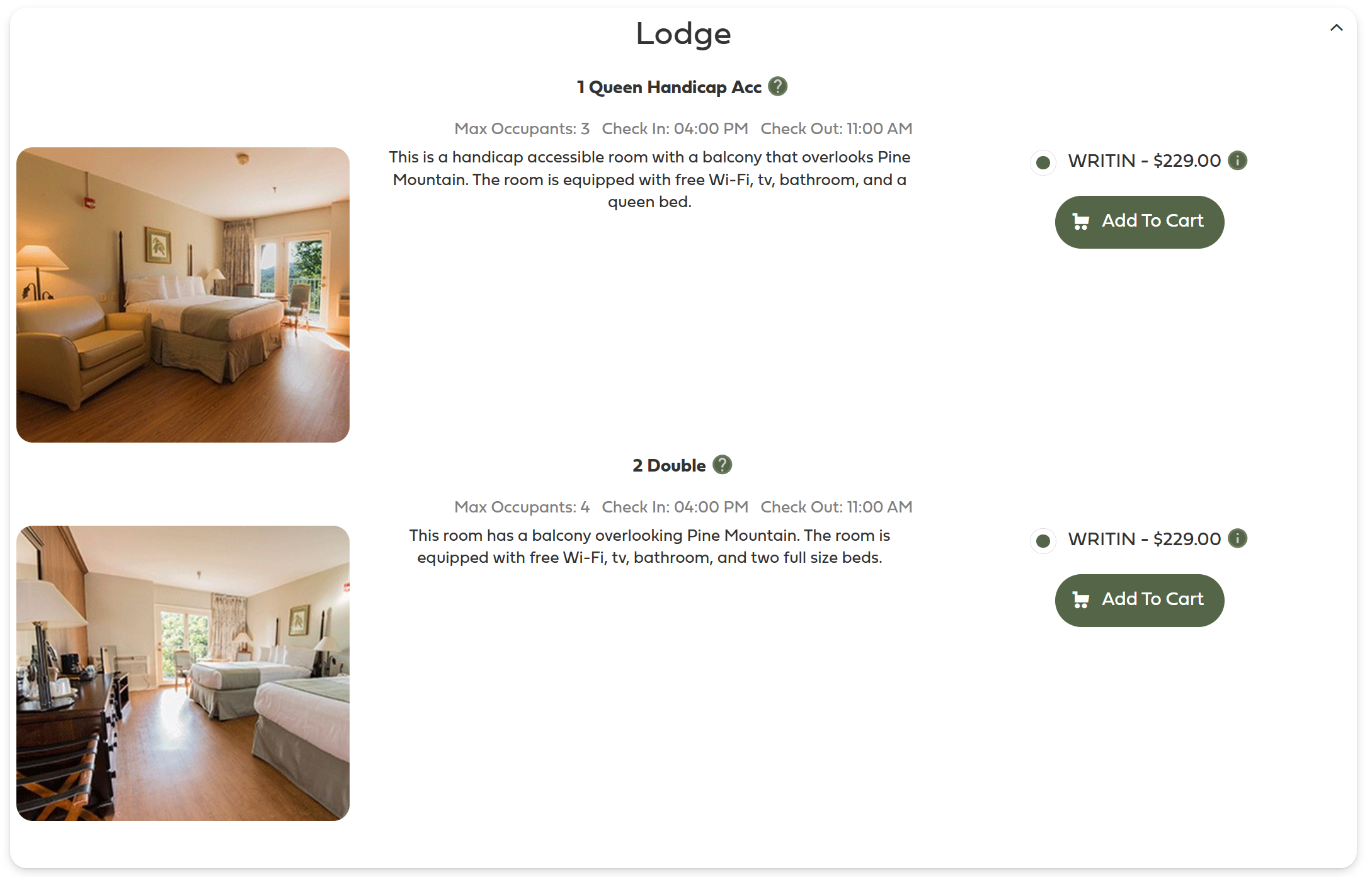 Example of online reservation booking information